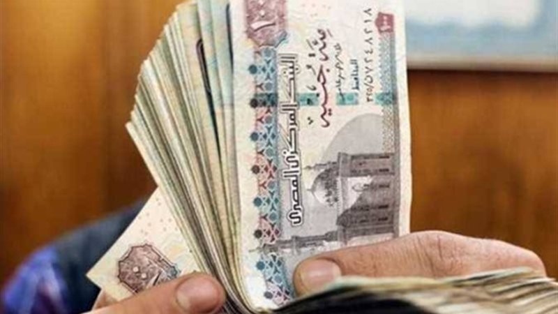 المعاشات 