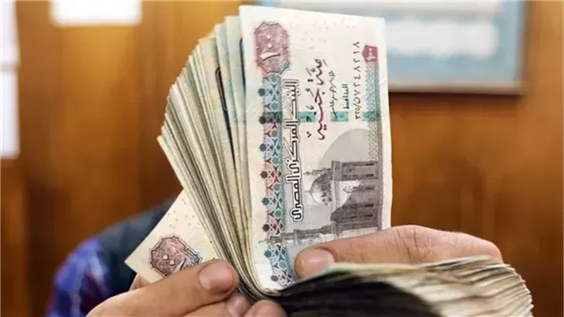 المعاشات 