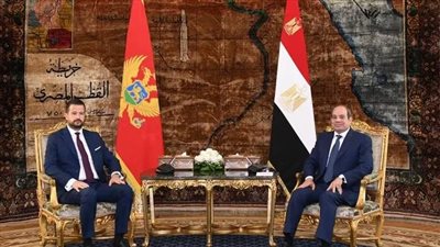 «السيسي» يشدد على موقف مصر الثابت في دعم سيادة واستقرار دول مجلس التعاون الخليجي