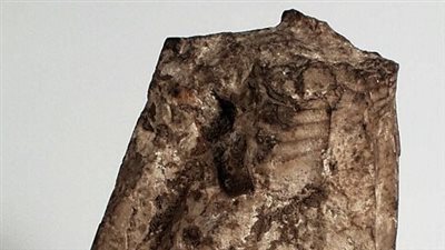 المتحف الوطني الأيرلندي يكشف النقاب عن تمثال «ري» مصري