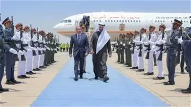 الرئيس السيسى فى