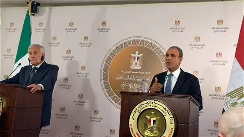 وزير الخارجية بدر عبد العاطي